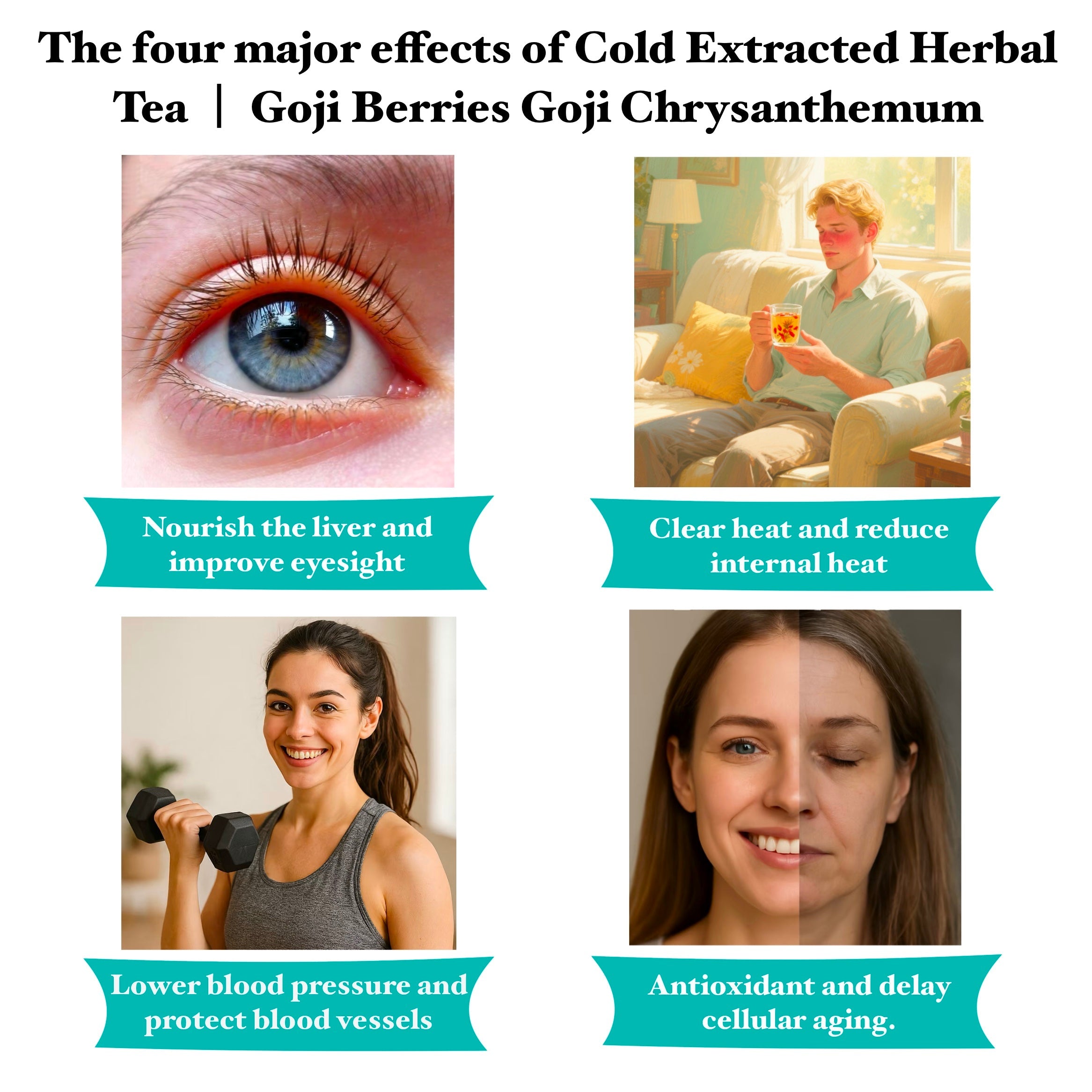 Cold Extracted Herbal Tea | Goji Berries & Chrysanthemum