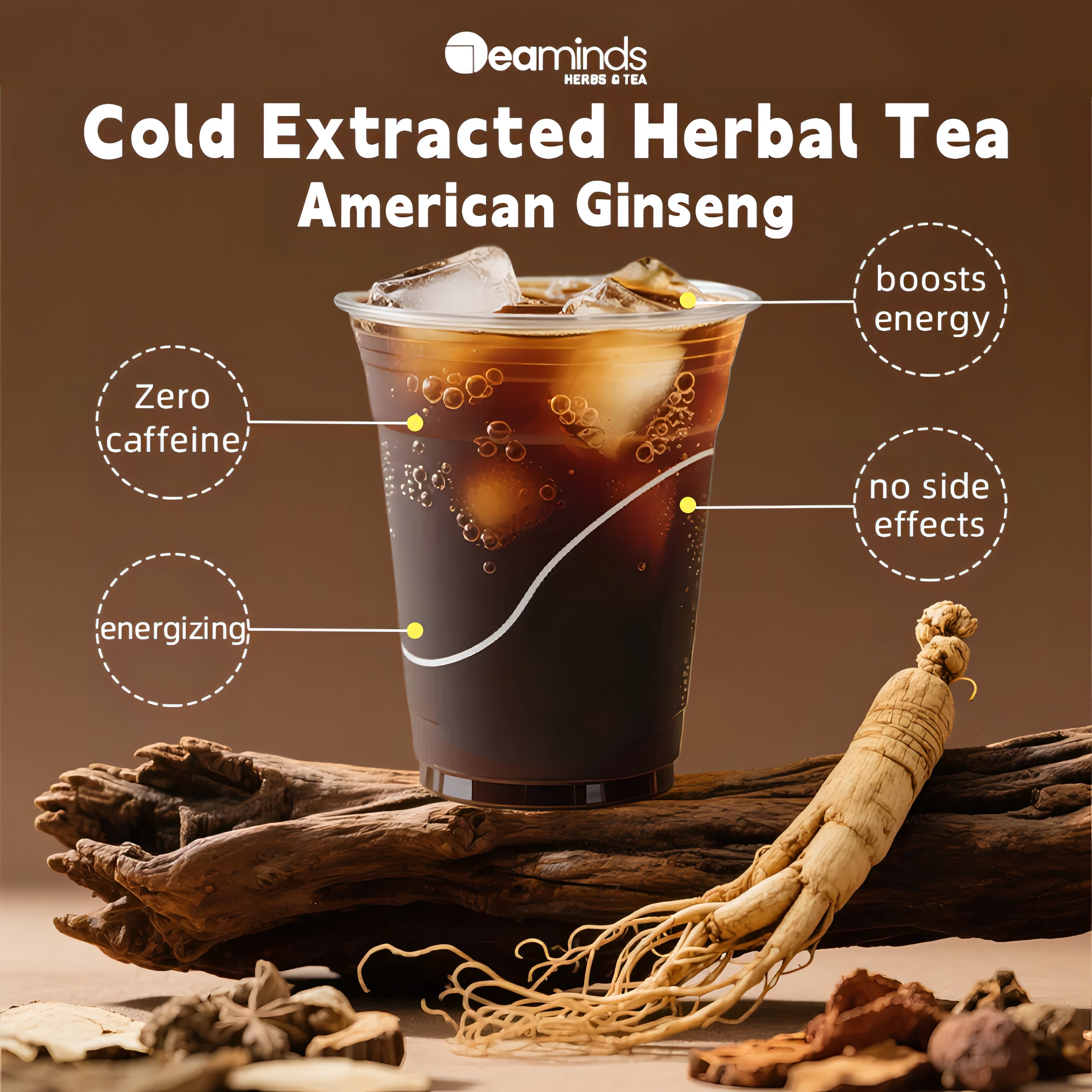 Cold Extracted Herbal Tea | American Ginseng