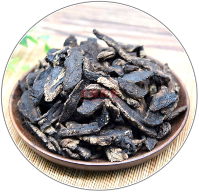 Rehmannia Root