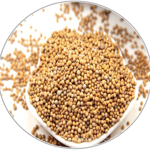 White Mustard Seed
