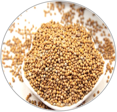 White Mustard Seed