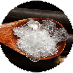 Cinnamomum