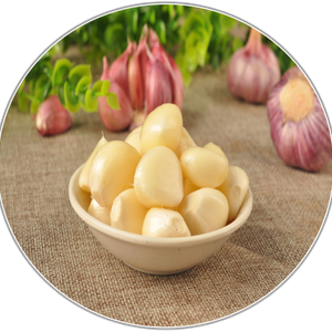 Garlic