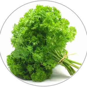 Celery