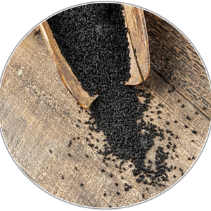 Nigella Sativa