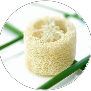 Sponge Gourd