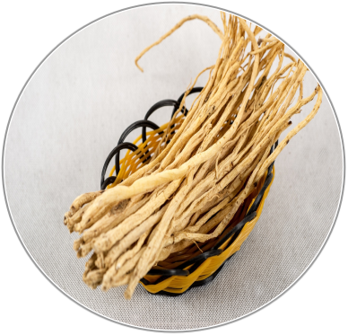 Saposhnikovia Root
