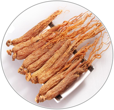 Red Ginseng