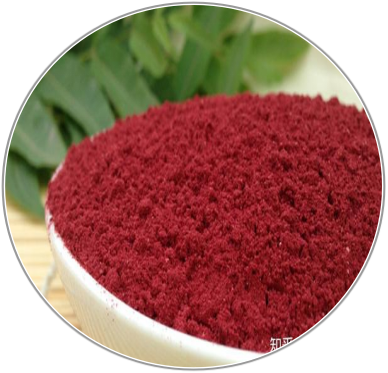 Monascus purpureus Went