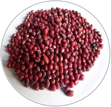 Red Bean