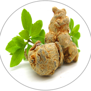 Notoginseng